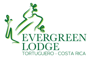 Evergreen Lodge IBE