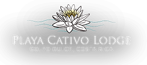 Playa Cativo Lodge IBE