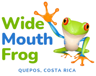 Wide Mouth Frog Hostel IBE