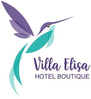 Villa Elisa Hotel Boutique IBE