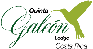 Quinta GALEON Lodge IBE