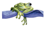 Laguna Lodge Tortuguero IBE