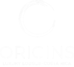 Origins Luxury Lodge IBE